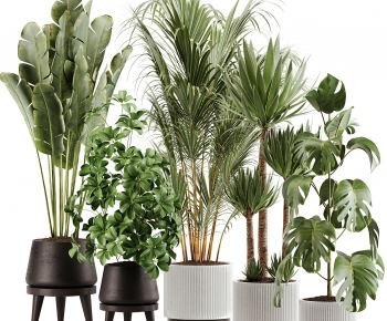 Modern Ground Green Plant Potted Plants-ID:342940092