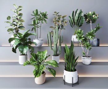 Modern Potted Green Plant-ID:397675041