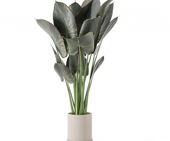 Modern Ground Green Plant Potted Plants-ID:782885071