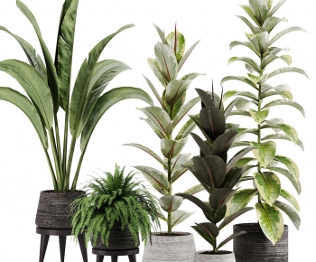 Modern Ground Green Plant Potted Plants-ID:492676024