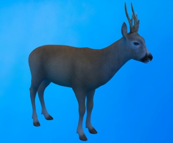 Modern Mammal-ID:186970001