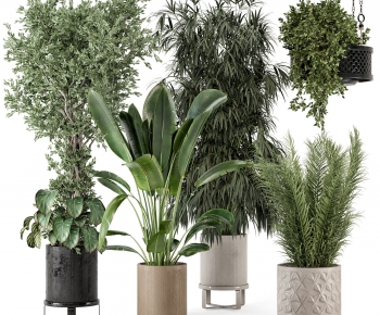 Modern Ground Green Plant Potted Plants-ID:135510094