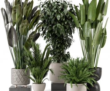 Modern Ground Green Plant Potted Plants-ID:198173053