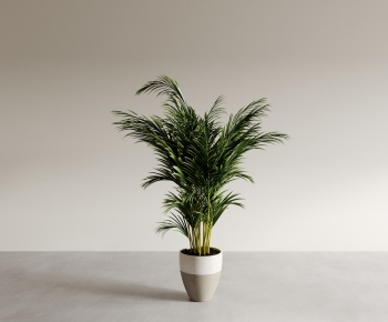 Modern Ground Green Plant Potted Plants-ID:742891079