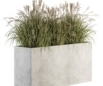 Modern Flower Bed, Flower Bowl, Flower Box-ID:983136897