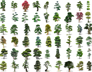 现代景观树组合-ID:6130155