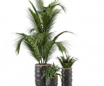 Modern Ground Green Plant Potted Plants-ID:973012923