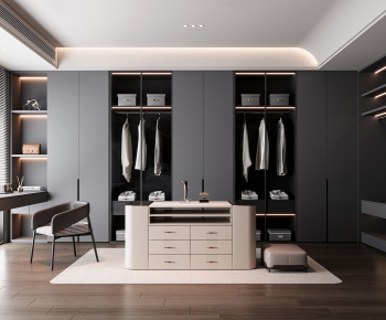 Modern Clothes Storage Area-ID:247844933