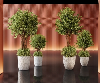 Modern Ground Green Plant Potted Plants-ID:736783033