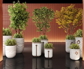 Modern Ground Green Plant Potted Plants-ID:288927089