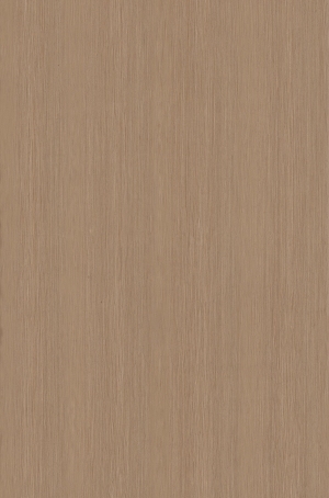 ModernWood Texture