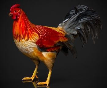 Modern Poultry Animal-ID:259011035