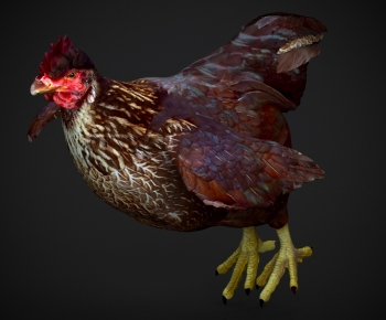 Modern Poultry Animal-ID:138359197