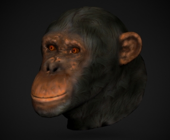 Modern Mammal-ID:515961893