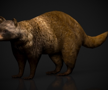 Modern Mammal-ID:721422915