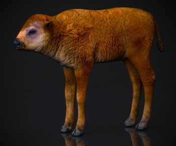 Modern Mammal-ID:338754895