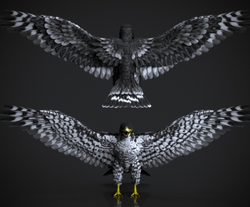 Modern Flying Animals-ID:398035055