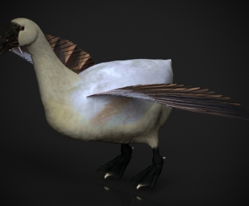 Modern Animal Duck-ID:640666014