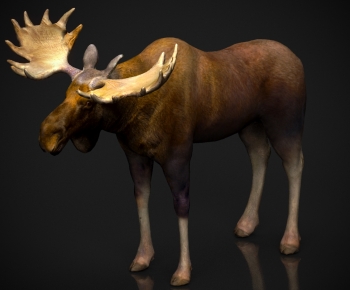 Modern Mammal-ID:868270492