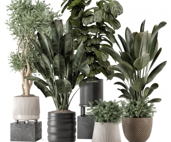 Modern Ground Green Plant Potted Plants-ID:350455055