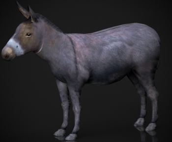 Modern Mammal-ID:249094964