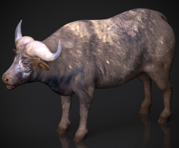 Modern Mammal-ID:786962038