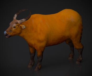 Modern Mammal-ID:452444084