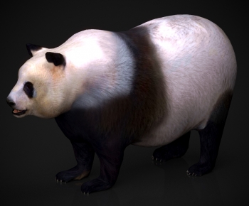 Modern Mammal-ID:439042095