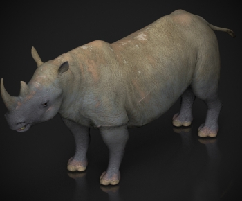 Modern Mammal-ID:618000031