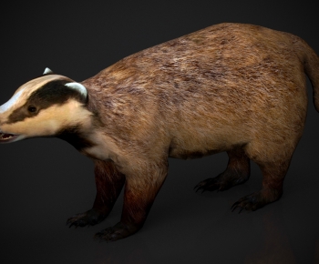 Modern Mammal-ID:738615996