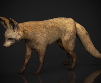 Modern Mammal-ID:194047935