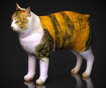 Modern Animal Cat-ID:483771093