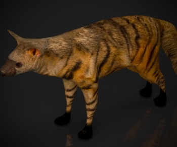 Modern Mammal-ID:965825086