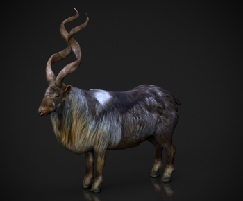 Modern Mammal-ID:236010627