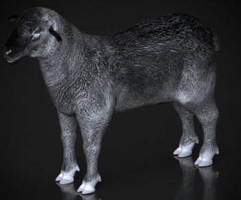 Modern Mammal-ID:273516892