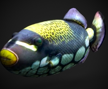 Modern Aquatic Animals-ID:214390045