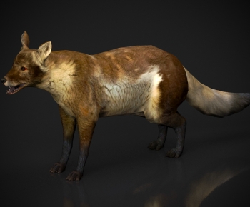 Modern Mammal-ID:361875063