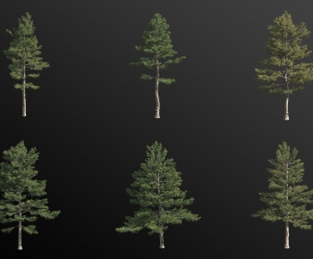 Modern Tree-ID:308356053