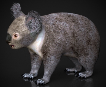 Modern Mammal-ID:456115965