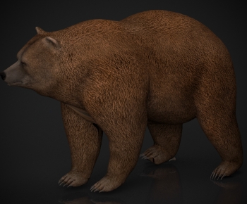 Modern Mammal-ID:154114966