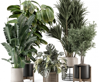 Modern Potted Green Plant-ID:551373963