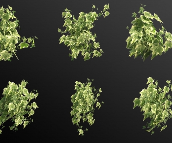 Modern The Grass-ID:581341034