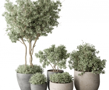 Modern Ground Green Plant Potted Plants-ID:339426048