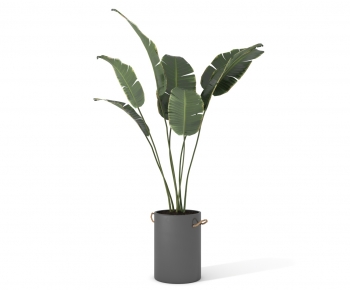 Modern Ground Green Plant Potted Plants-ID:630337953