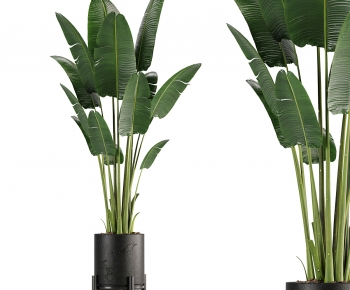 Modern Ground Green Plant Potted Plants-ID:127738001