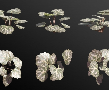 Modern The Grass-ID:281912099