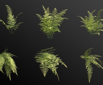 Modern The Grass-ID:960530049