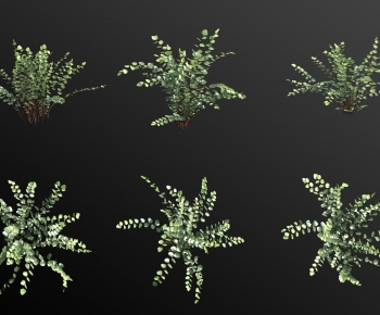 Modern The Grass-ID:194495925