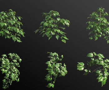 Modern The Grass-ID:572298057