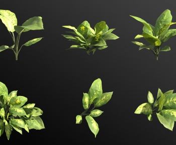 Modern The Grass-ID:527401011